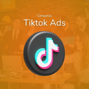 TikTok Ads